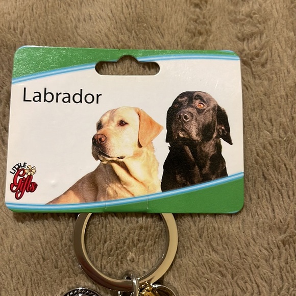 Labrador keychain - Picture 2 of 2
